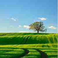 api接‍口﻿接‌入​教‌程‍